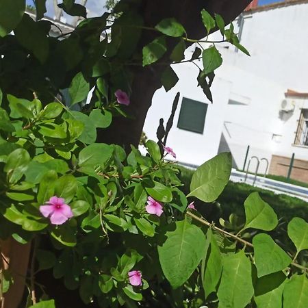 Casa Turquesa Villa Valencina de la Concepción Exterior foto